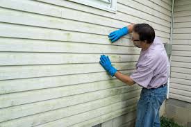 Best Historical Building Siding Restoration  in Emmon, AK